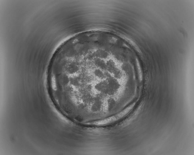 X0000113570991200910161514