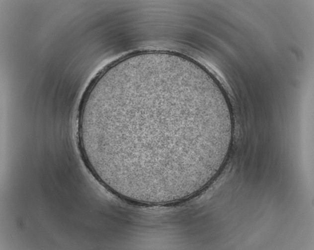 X0000113570992200910161514