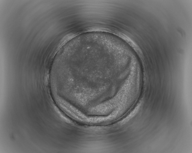 X0000113570993200910161514