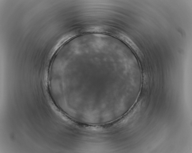 X0000113570994200910161514