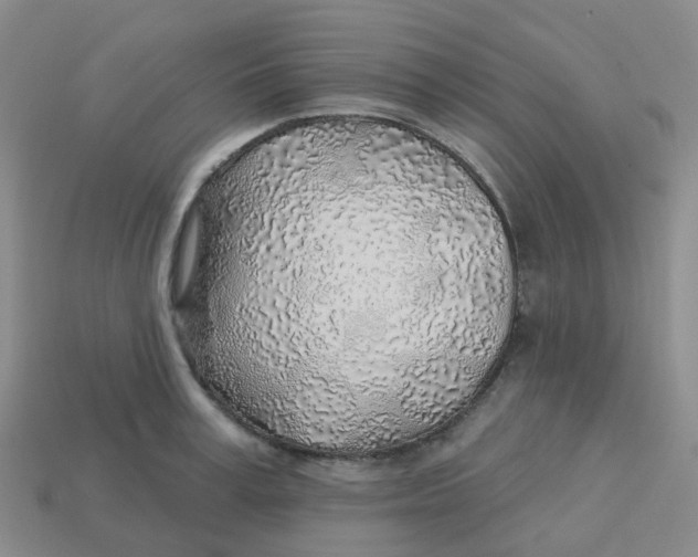 X0000113570995200910161514