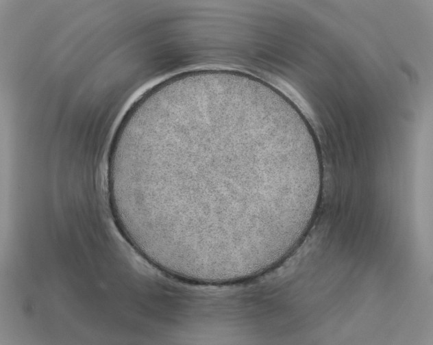 X0000113570996200910161514