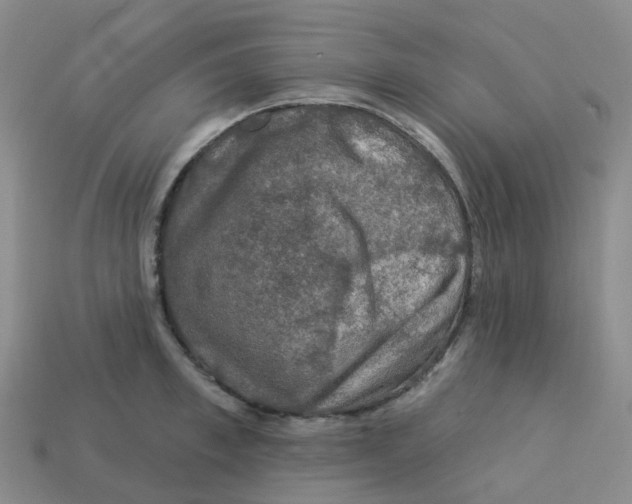 X0000113570997200910161514