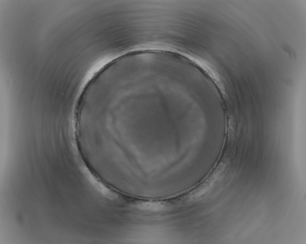 X0000113570998200910161514