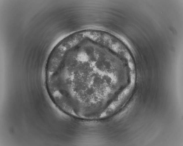 X0000113570999200910161514