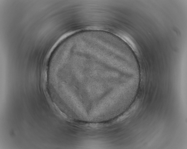 X0000113571000200910161514