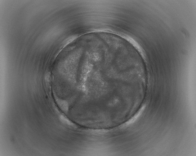 X0000113571001200910161514