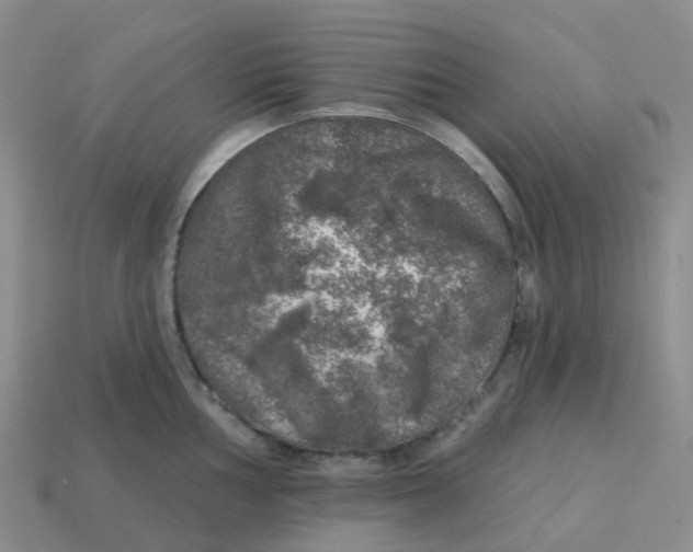 X0000113571002200910161514