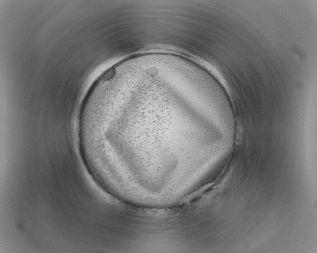 X0000113571003200910161514