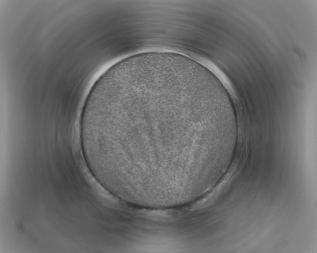 X0000113571004200910161514