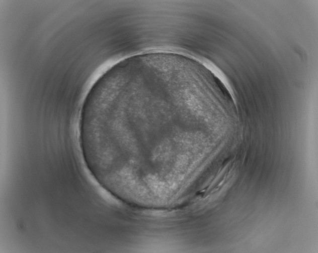 X0000113571005200910161514