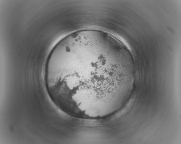 X0000113571007200910161514