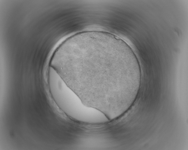 X0000113571008200910161514