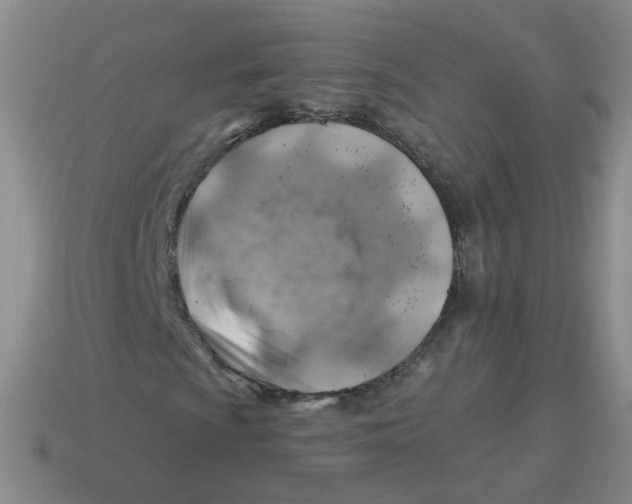 X0000113571009200910161513