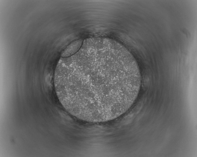 X0000113571010200910161513