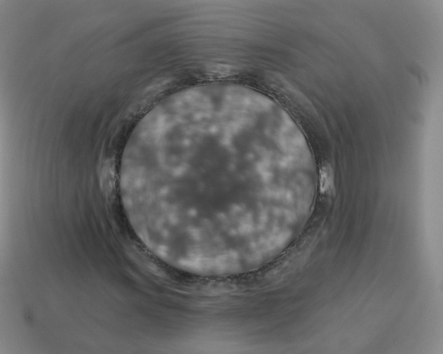 X0000113571011200910161513