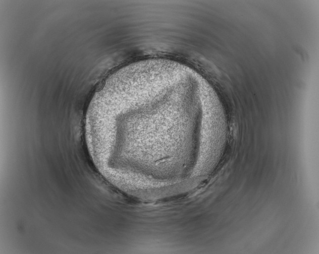 X0000113571012200910161513