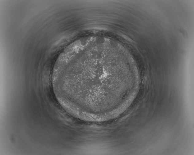 X0000113571014200910161513