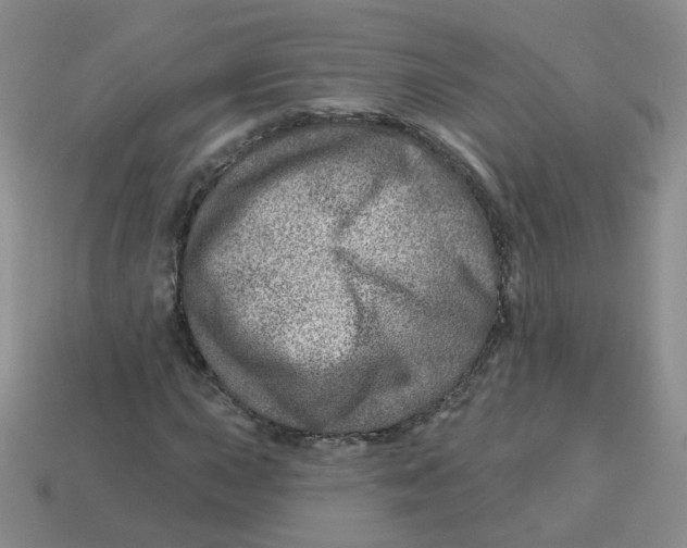 X0000113571015200910161513