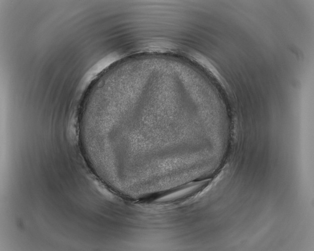 X0000113571018200910161513