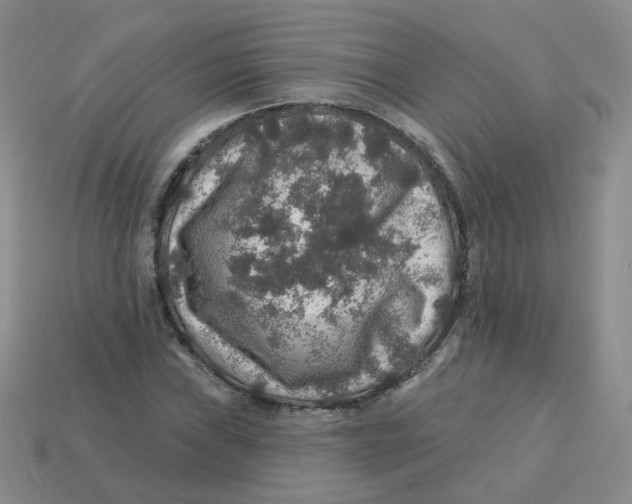 X0000113571019200910161513