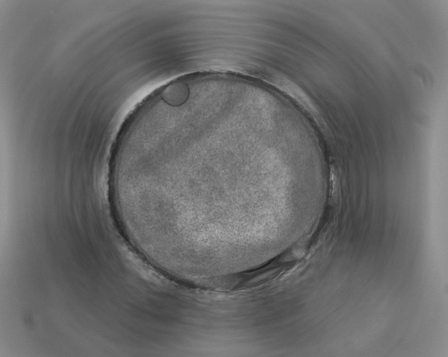 X0000113571020200910161513