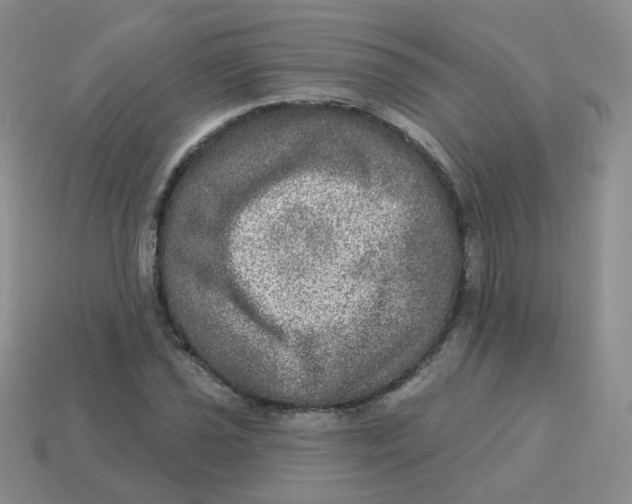 X0000113571021200910161513