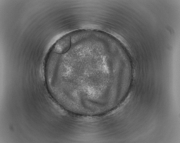 X0000113571022200910161513