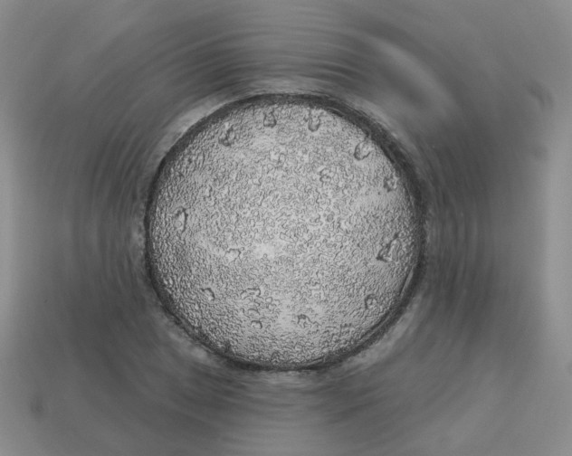 X0000113571025200910161513