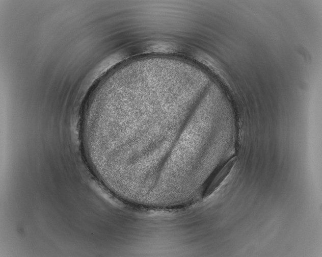 X0000113571026200910161513