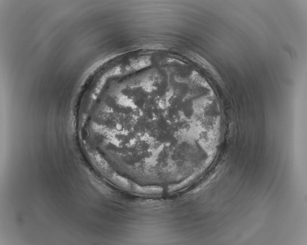 X0000113571027200910161513