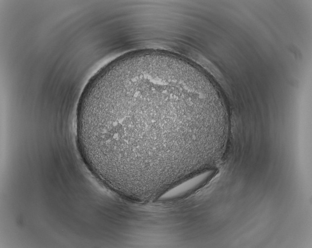 X0000113571028200910161513