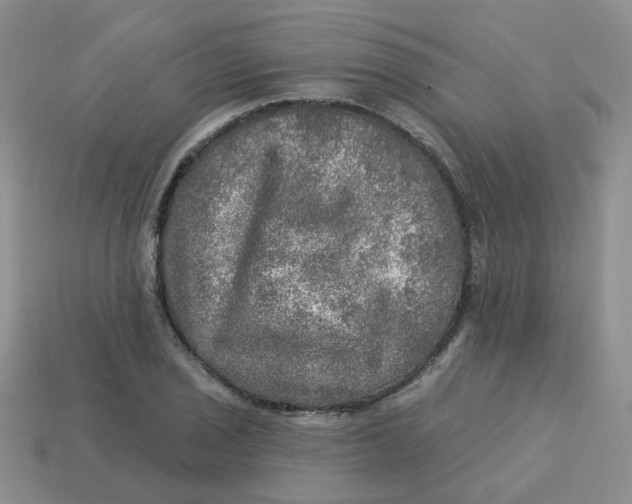 X0000113571029200910161513