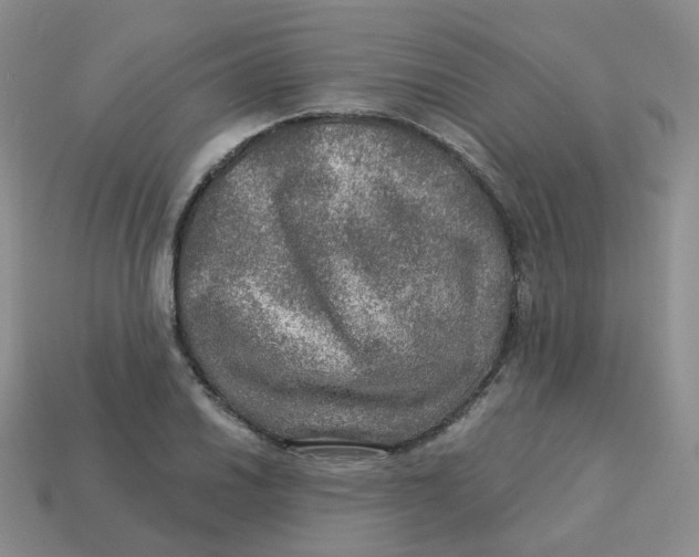 X0000113571030200910161514