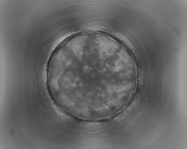 X0000113571031200910161514