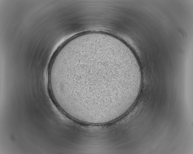 X0000113571032200910161514