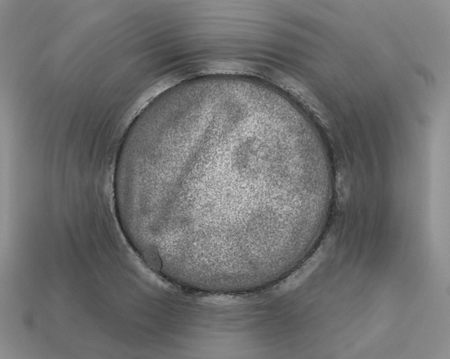 X0000113571033200910161514