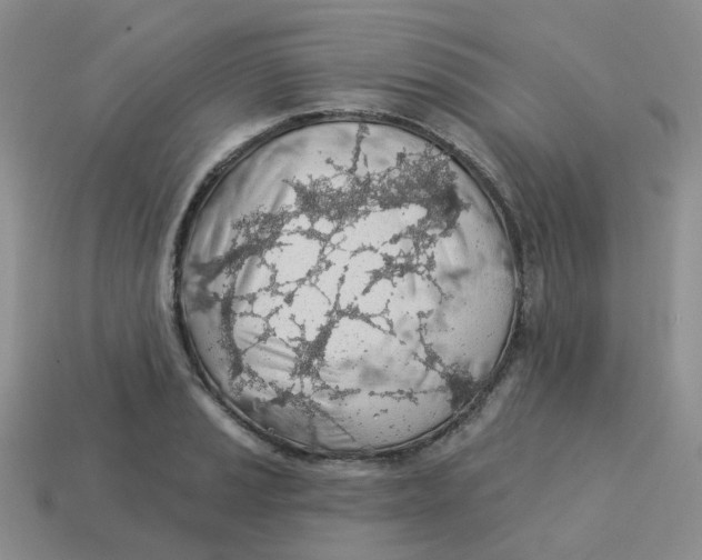 X0000113571037200910161514