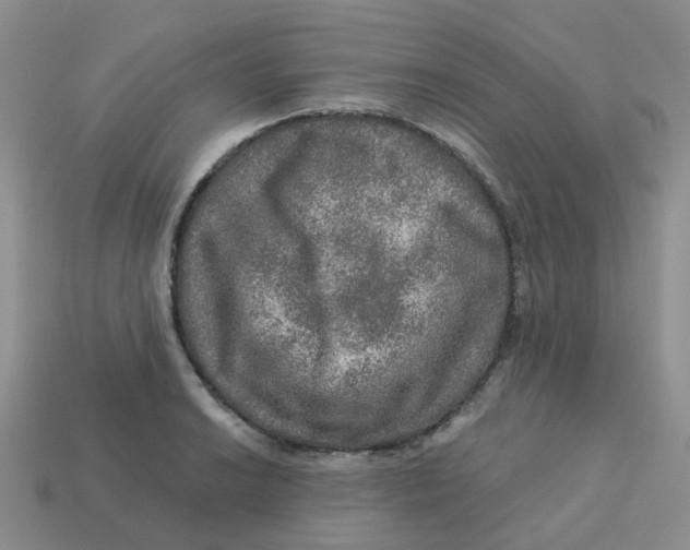 X0000113571038200910161514