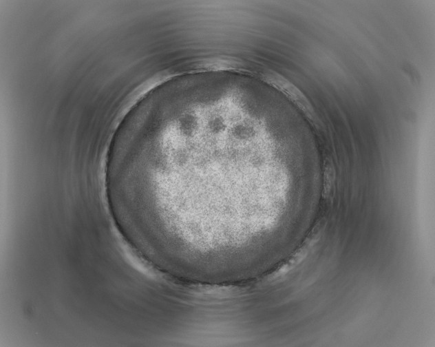 X0000113571039200910161514