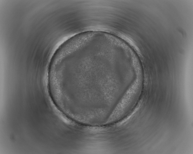 X0000113571040200910161514