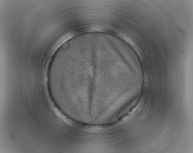 X0000113571042200910161514