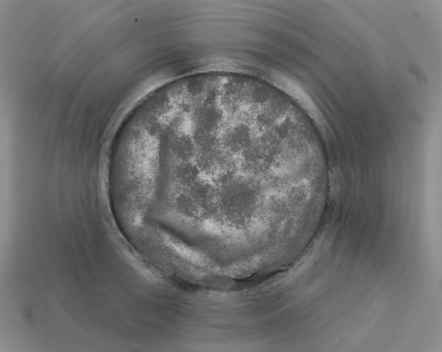 X0000113571043200910161514