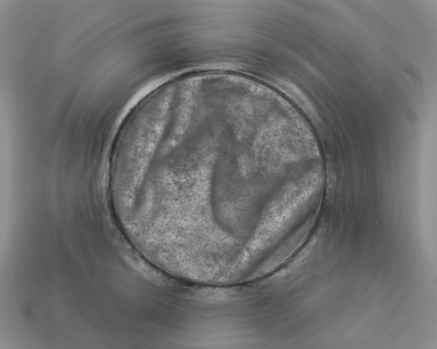 X0000113571044200910161514