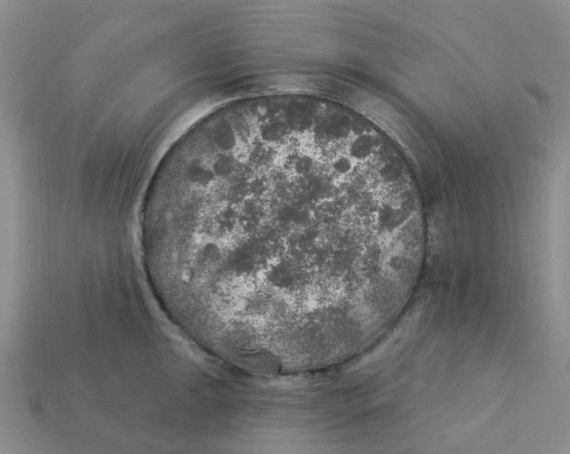 X0000113571047200910161514