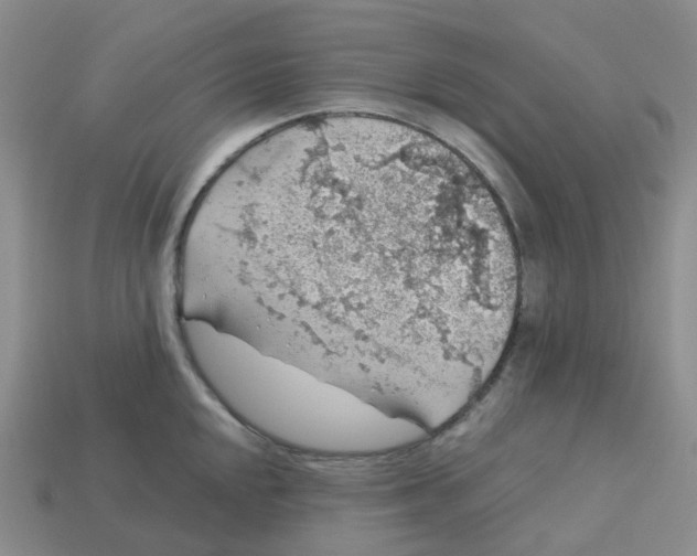 X0000113571048200910161514