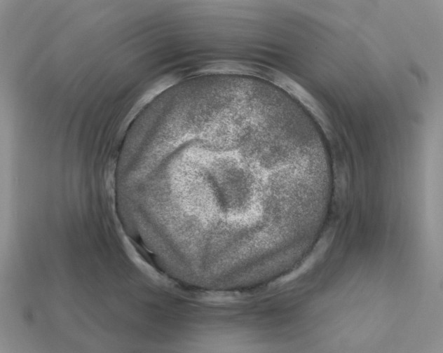 X0000113571049200910161514