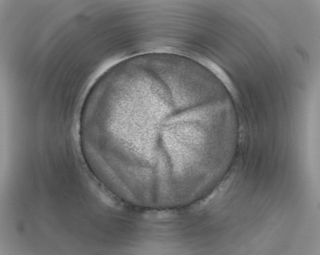 X0000113571051200910161514