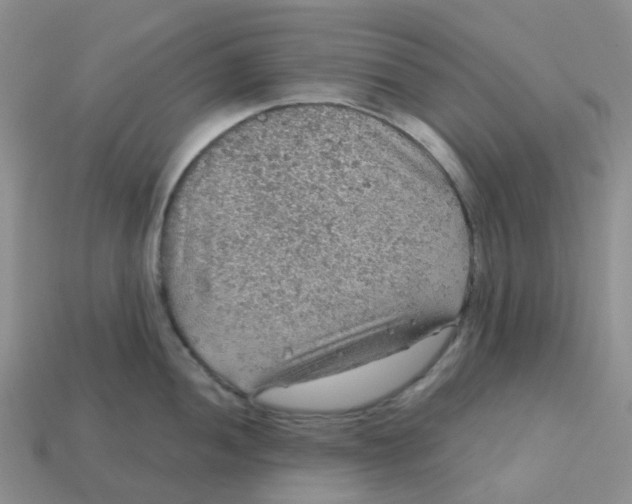 X0000113571052200910161514