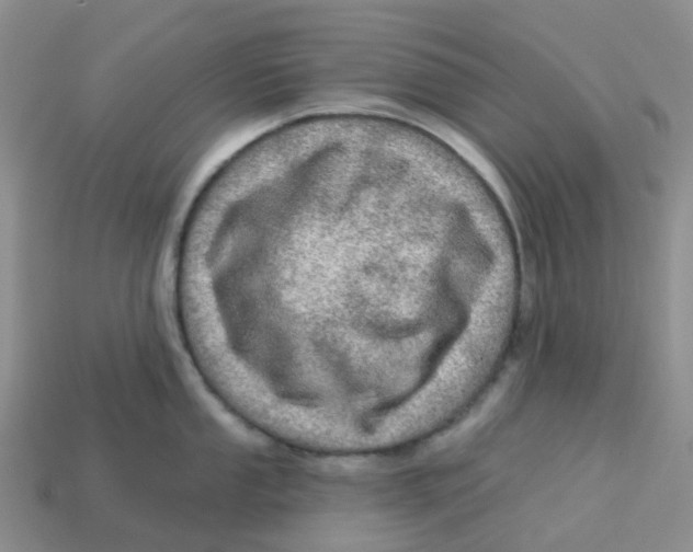 X0000113571053200910161514